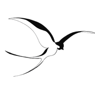 Icône de l'application